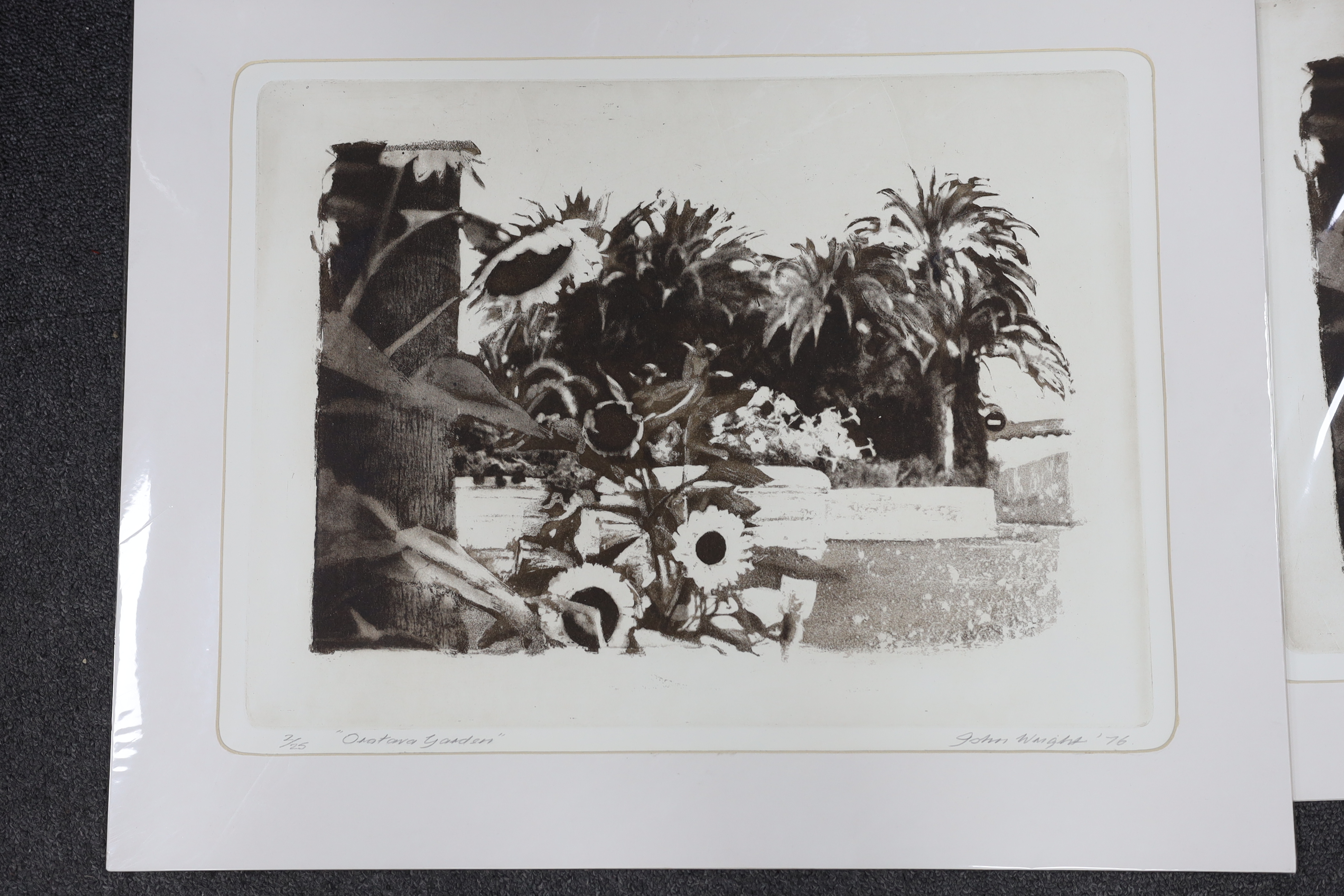 John Wright RE, ARCA (1927-2001), five prints, including ‘The Sentinel’, ‘The Protected One’ and ‘Hearts & Flowers’, each signed and dated in pencil, three limited edition, mounted, unframed, largest 52 x 39cm